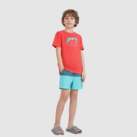 DJEČJE KUPAĆE HLAČE 4F BOARDSHORTS BLUE