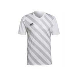 Dres adidas Entrada 22 White/Grey