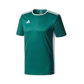 Dres Adidas Entrada Jr. Green/White