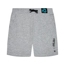 Hlačice 4F Sportstyle Grey