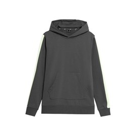 Hoodie 4F ENERGETIC FORCE Grey