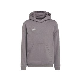 Hoodie Adidas Entrada 22 Grey