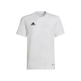 Majica Adidas Entrada 22 White