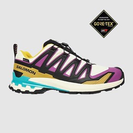 MUŠKE TENISICE SALOMON XA PRO GTX 