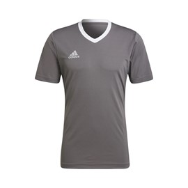 MUŠKI DRES ADIDAS ENTRADA GREY