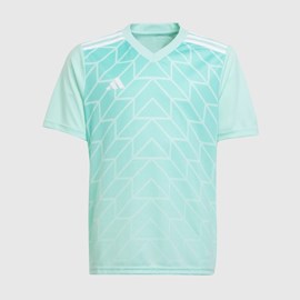 MUŠKI DRES ADIDAS TEAM ICON 23 CLEAR MINT 