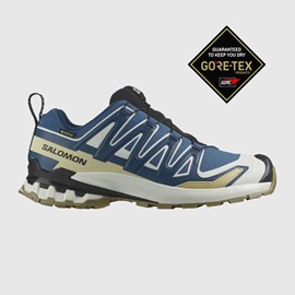 OBUĆA SALOMON XA PRO 3D V9 GTX