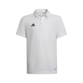 POLO MAJICA ADIDAS ENT22 Y WHITE