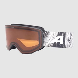 SKIJAŠKE NAOČALE ALPINA VENET GRAY/BLACK