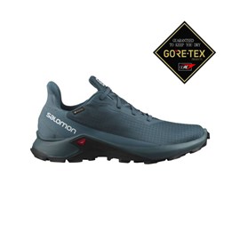 Tenisice Salomon Alphacross 3 GTX Blue