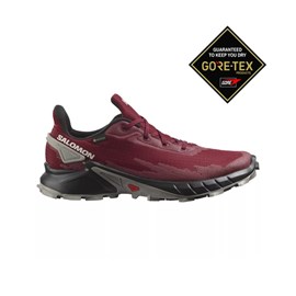TENISICE SALOMON ALPHACROSS 4 GTX RED
