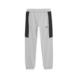 Trenirka 4F QUICK-DRYING SPORTS PANTS