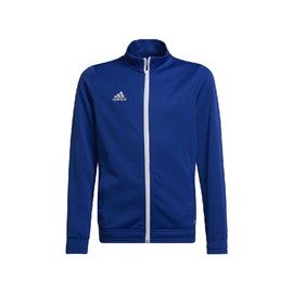 Trenirka Adidas Junior Entrada 22 Blue